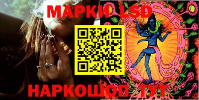 гидропоника Камышлов