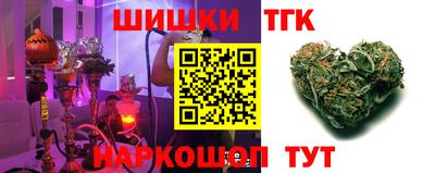 гидропоника Камышлов