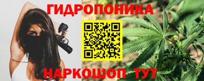 стафф Кандалакша