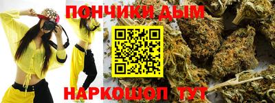 гидропоника Камышлов