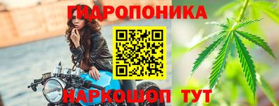 гидропоника Камышлов