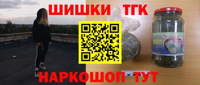 гидропоника Камышлов