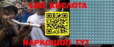 стафф Кандалакша