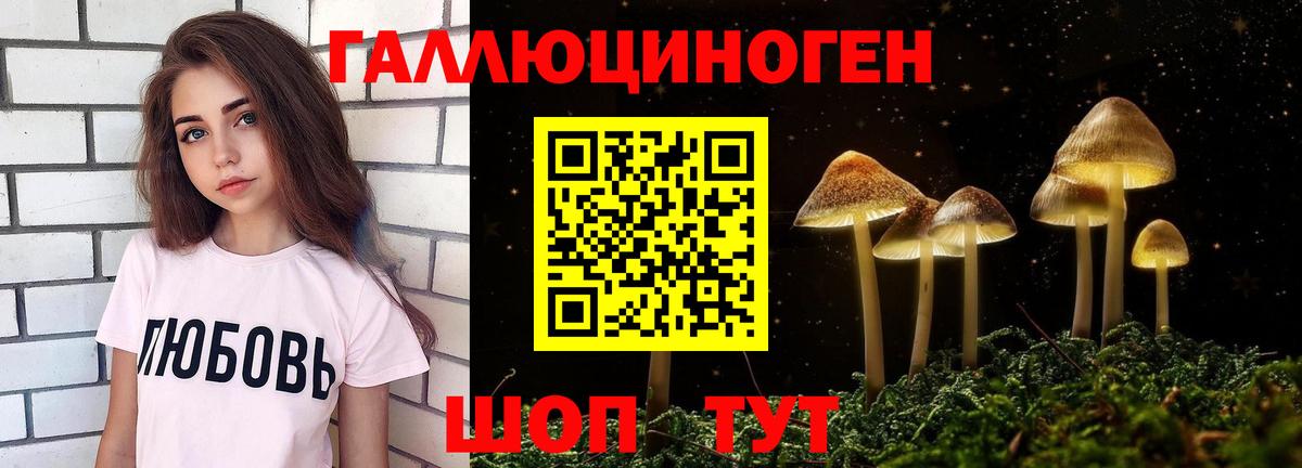 Галлюциногенные грибы Psilocybine cubensis Майский